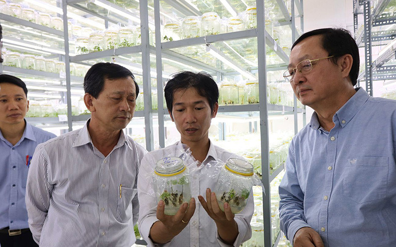 Lãnh đạo Bộ Khoa học và Công nghệ kiểm tra quy trình nhân giống sâm Ngọc Linh tại Trung tâm Ươm tạo và Hỗ trợ doanh nghiệp khoa học công nghệ (huyện Ðăk Tô, tỉnh Kon Tum). 