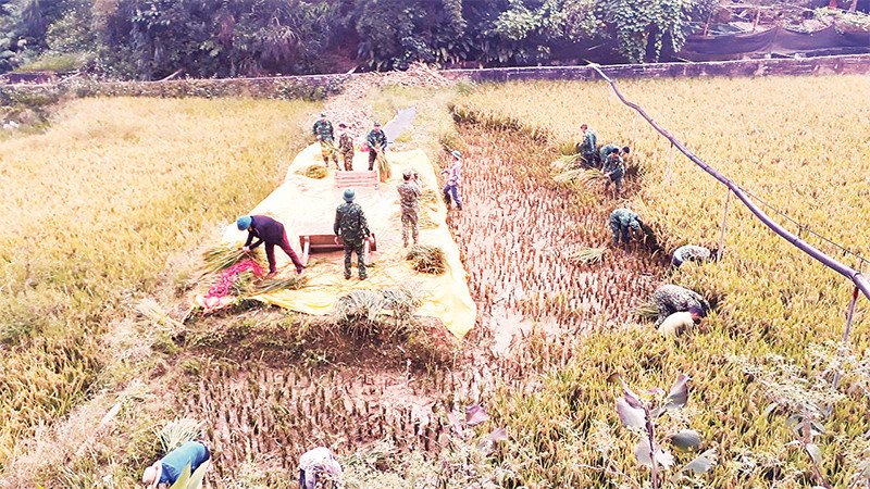 Bộ đội Biên phòng Ðồn Pha Long giúp người dân địa phương trong sản xuất, đời sống. 