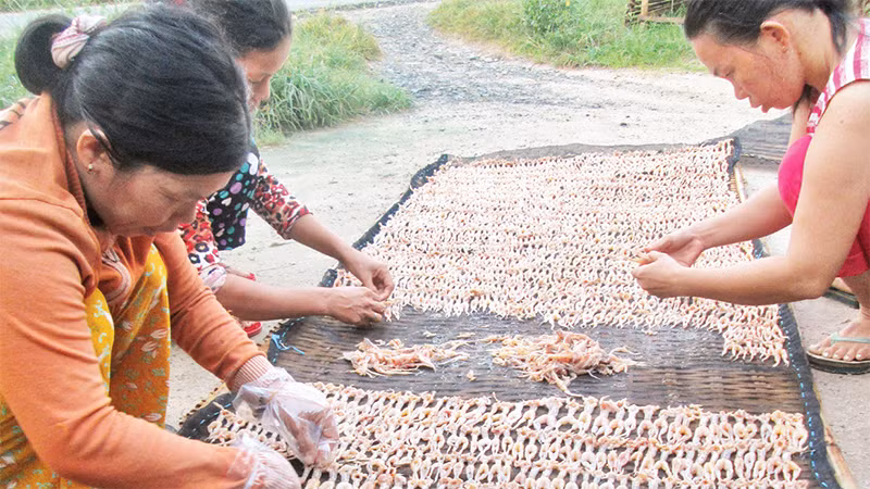 Người dân ấp Vĩnh Hạ, xã Vĩnh Trung, thị xã Tịnh Biên, tỉnh An Giang có thu nhập khá từ nghề chế biến khô nhái. 