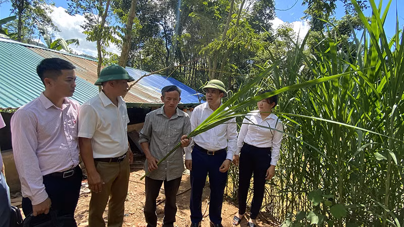 Cán bộ Ngân hàng Chính sách xã hội huyện Mường Nhé kiểm tra việc sử dụng vốn chính sách xã hội tại xã Huổi Lếch. 