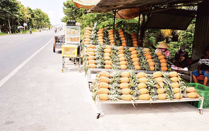 Khóm Tắc Cậu được người dân xã Bình An, huyện Châu Thành, tỉnh Kiên Giang bày bán dọc đường. 