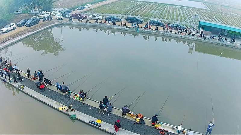 Dịch vụ câu cá đem lại nguồn thu tốt cho các chủ hồ, tạo hướng đi mới trong phát triển kinh tế trang trại. 