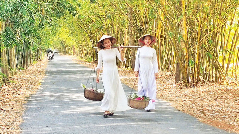 Ðường tre tại rừng tràm Gáo Giồng, huyện Cao Lãnh, tỉnh Ðồng Tháp. 