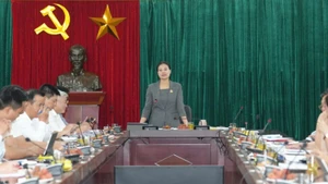Đồng chí Bạch Liên Hương, Tổ trưởng Tổ công tác số 10 của thành phố Hà Nội hướng dẫn công tác sắp xếp các đơn vị hành chính cấp xã.