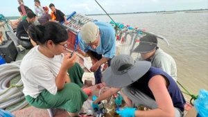 Các nhà nghiên cứu thu thập mẫu để phân tích, đánh giá tác động của rác thải nhựa với môi trường và sức khỏe con người. (Ảnh: THÚY HƯỜNG)
