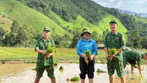Đoàn Thanh niên Đồn Biên phòng Na Ngoi cùng Đoàn xã Na Ngoi và Chi đoàn Đoàn Kinh tế-Quốc phòng 4 giúp người dân bản Tổng Khư, xã Na Ngoi, huyện Kỳ Sơn cấy lúa vụ hè thu.