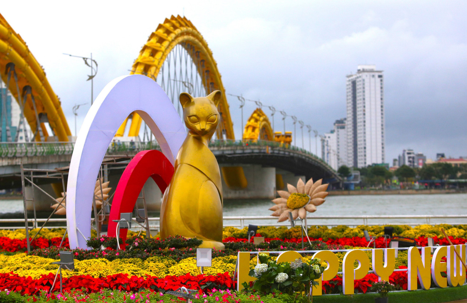 Nhiều biểu cảm, sắc thái vui nhộn của mèo.