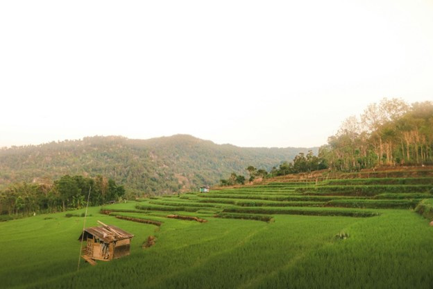 Tháp Bà Ponagar. (Ảnh: Unsplash/CreateTravel.tv)