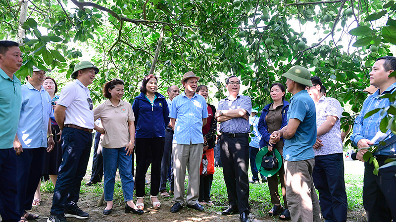Các hộ dân, đại diện nhà vườn tham quan gian hàng trưng bày phân bón vi sinh.