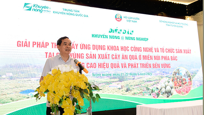 Các đại biểu đến thăm mô hình trồng bưởi Soi Hà xuất khẩu sang thị trường Anh tại xã Xuân Vân, huyện Yên Sơn, tỉnh Tuyên Quang.