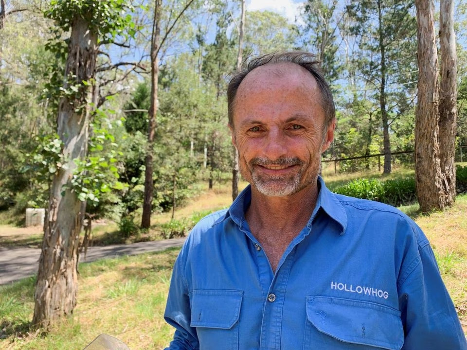 Một hốc cây nhân tạo do công cụ Hollowhog tạo ra.