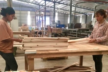 Hoa Kỳ hiện là thị trường lớn nhất, tiêu thụ hơn 55% tổng lượng gỗ và sản phẩm gỗ xuất khẩu của Việt Nam.
