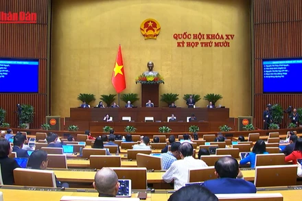 [Video] Hơn 96% vụ việc liên quan đến quy hoạch, quản lý và sử dụng đất đai đã được giải quyết