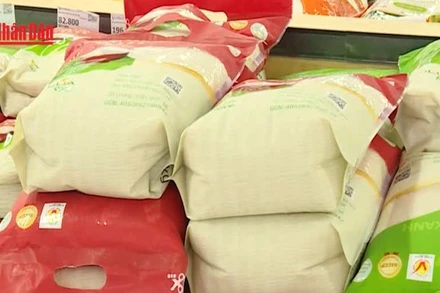 [Video] Ứng phó mưa lũ tại Trung Bộ, khôi phục điện và ổn định hàng hóa