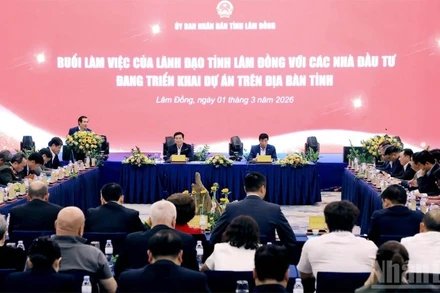 Quang cảnh buổi làm việc.