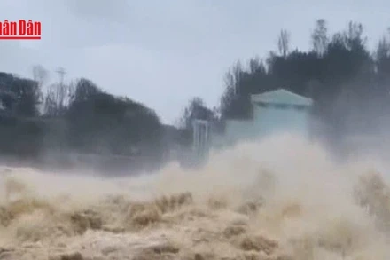 [Video] Lũ trên các sông tại Quảng Ngãi đang lên 