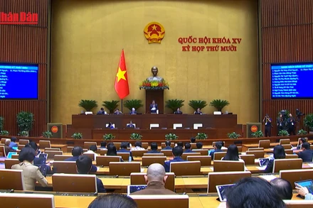 [Video] Quốc hội ghi nhận nỗ lực điều hành của Chính phủ, kiến nghị giải pháp cho giáo dục, nông thôn và văn hoá