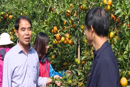 [Video] Hà Nội thu 2 tỷ USD từ xuất khẩu nông nghiệp