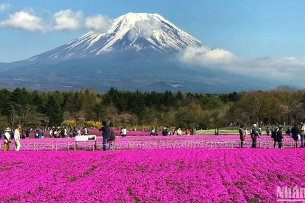 Nhật Bản vẫn là một trong những đất nước được nhiều du khách Việt lựa chọn.