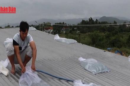 [Video] Chủ động, khẩn trương ứng phó bão số 13