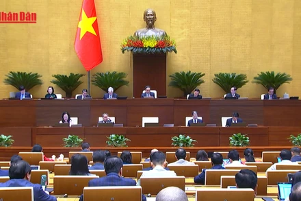 [Video] Tập trung kiểm toán chuyên đề và những lĩnh vực nóng được cử tri quan tâm