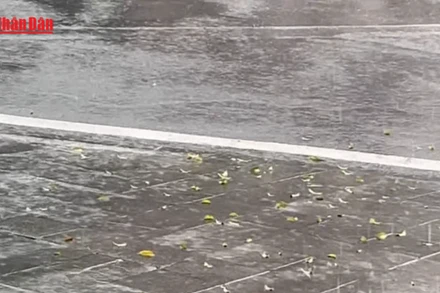 [Video] Miền Bắc rét diện rộng do không khí lạnh tăng cường