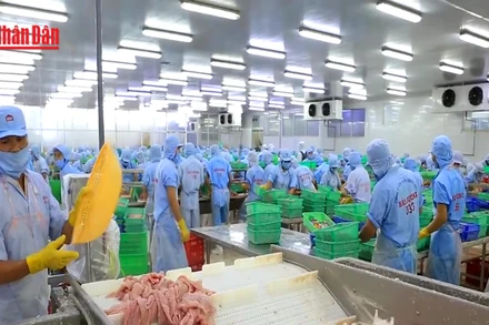 [Video] Xuất khẩu nông, lâm, thủy sản tăng gần 30% trong tháng đầu năm 2026