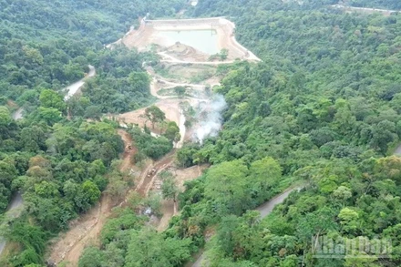 Từng mảng rừng đặc dụng bị bong tróc do quá trình xây dựng.