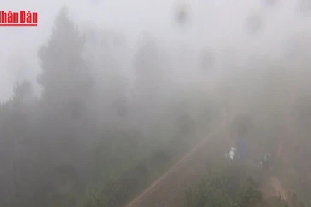 [Video] Bắc Bộ trở rét, vùng núi cao rét đậm trong ngày 3/12