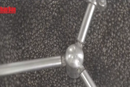 [Video] Giá cà phê và gạo chịu sức ép do nguồn cung tăng