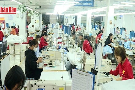 [Video] Hà Nội mở rộng hỗ trợ bảo hiểm xã hội, bảo hiểm y tế cho các đối tượng chính sách