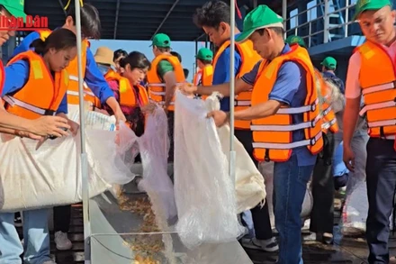 [Video] Thả hơn 200 nghìn con cá giống tái tạo nguồn lợi thuỷ sản