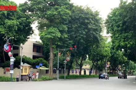 [Video] Hà Nội: Đèn tín hiệu chỉ hiển thị 8 giây cuối chu kỳ tại một số ngã tư 