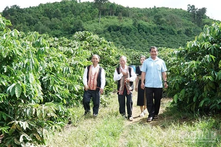Đội ngũ già làng, trưởng thôn, người có uy tín trong đồng bào dân tộc thiểu số ở Quảng Ngãi thể hiện rõ vai trò cầu nối giữa cấp ủy, chính quyền với đồng bào các dân tộc, góp phần xây dựng hệ thống chính trị tại địa phương.