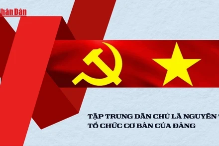 Tập trung dân chủ là một trong những nguyên tắc “rường cột” của Đảng cộng sản cũng như chính quyền của các giai cấp vô sản trên thế giới.