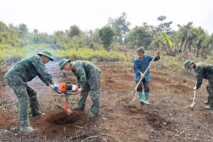 Cán bộ, chiến sĩ Bộ Chỉ huy Quân sự tỉnh và nhân dân tham gia đào hố trồng cây tại điểm bản Xá Nhù, xã Thanh Nưa.