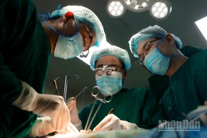 Ê-kíp tiến hành ghép thận cho bệnh nhân.