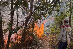 Hiện trường vụ cháy tại Na Sang (xảy ra 3/4) đã được nhân dân địa phương và lực lượng chức năng kịp thời dập tắt. 