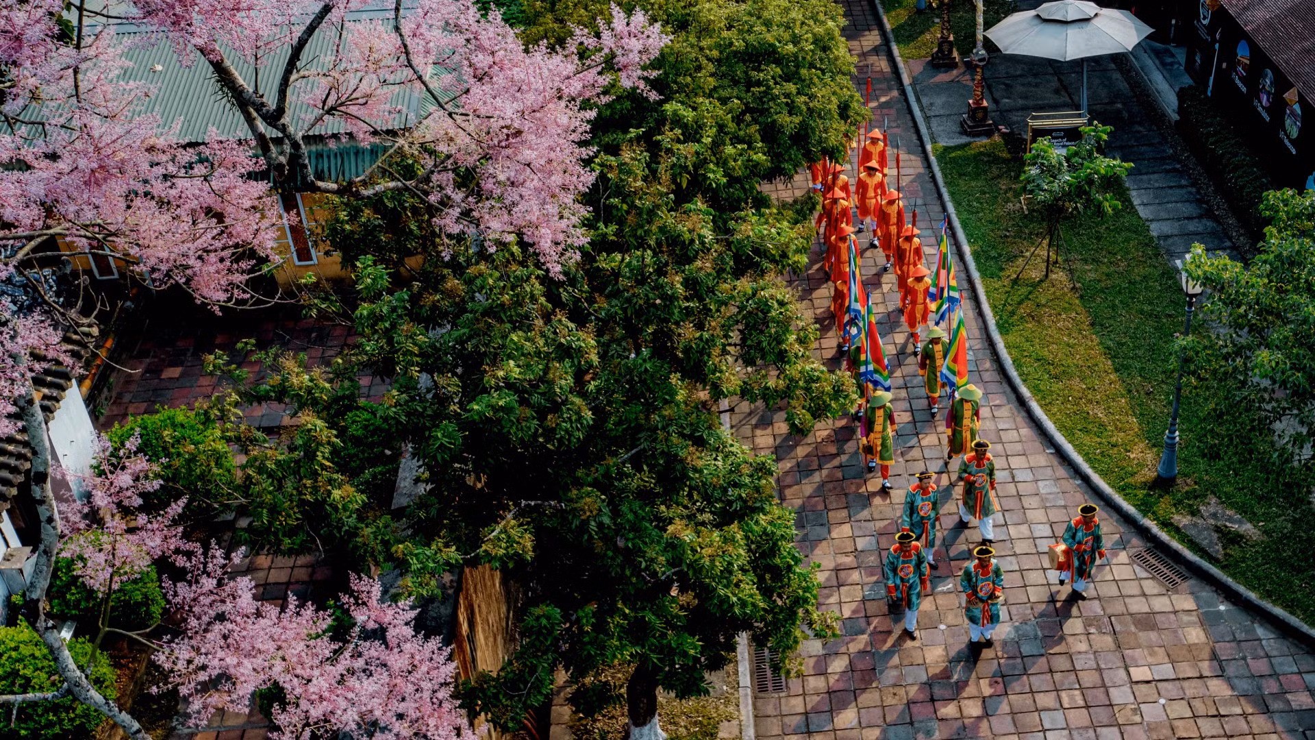 Những năm gần đây, bắt đầu từ tháng Ba, Đại Nội (Huế) thường đón những đoàn khách vào chỉ để tìm, ngắm loài hoa vương giả.