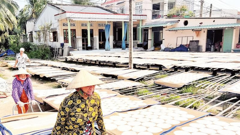 Người dân làng nghề Sơn Đốc tất bật phơi bánh phồng những ngày cận Tết.