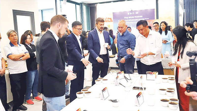 Các chuyên gia của Hiệp hội cà-phê đặc sản thế giới thưởng thức và đánh giá cà-phê đặc sản tỉnh Đắk Lắk.