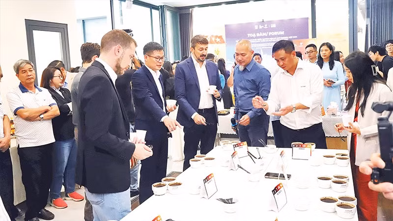 Các chuyên gia của Hiệp hội cà-phê đặc sản thế giới thưởng thức và đánh giá cà-phê đặc sản tỉnh Đắk Lắk.