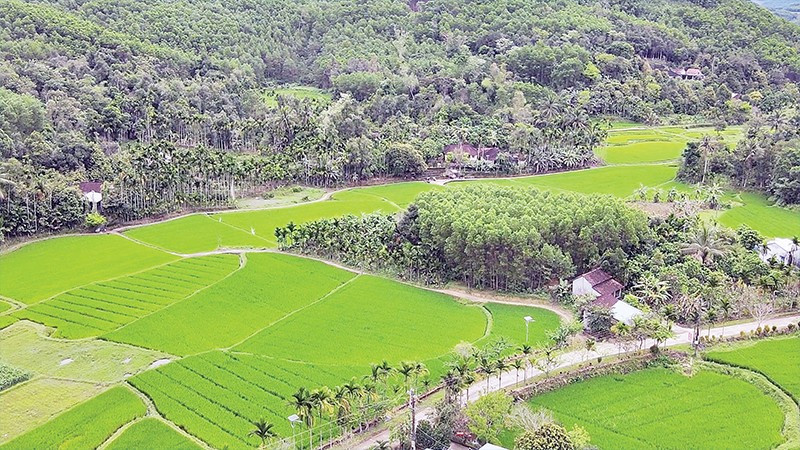 Thạnh Bình hướng đến phát triển du lịch sinh thái với các di tích lịch sử, danh lam thắng cảnh.