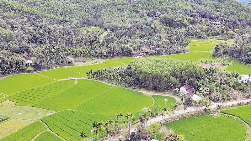 Thạnh Bình hướng đến phát triển du lịch sinh thái với các di tích lịch sử, danh lam thắng cảnh.