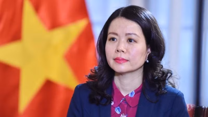 Thứ trưởng Ngoại giao Nguyễn Minh Hằng. (Ảnh: Bộ Ngoại giao)