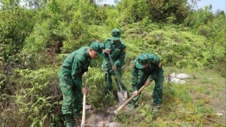 Bộ đội biên phòng phối hợp chính quyền địa phương trồng cây xanh trên tuyến biên giới thuộc địa phận xã Lũng Cú.