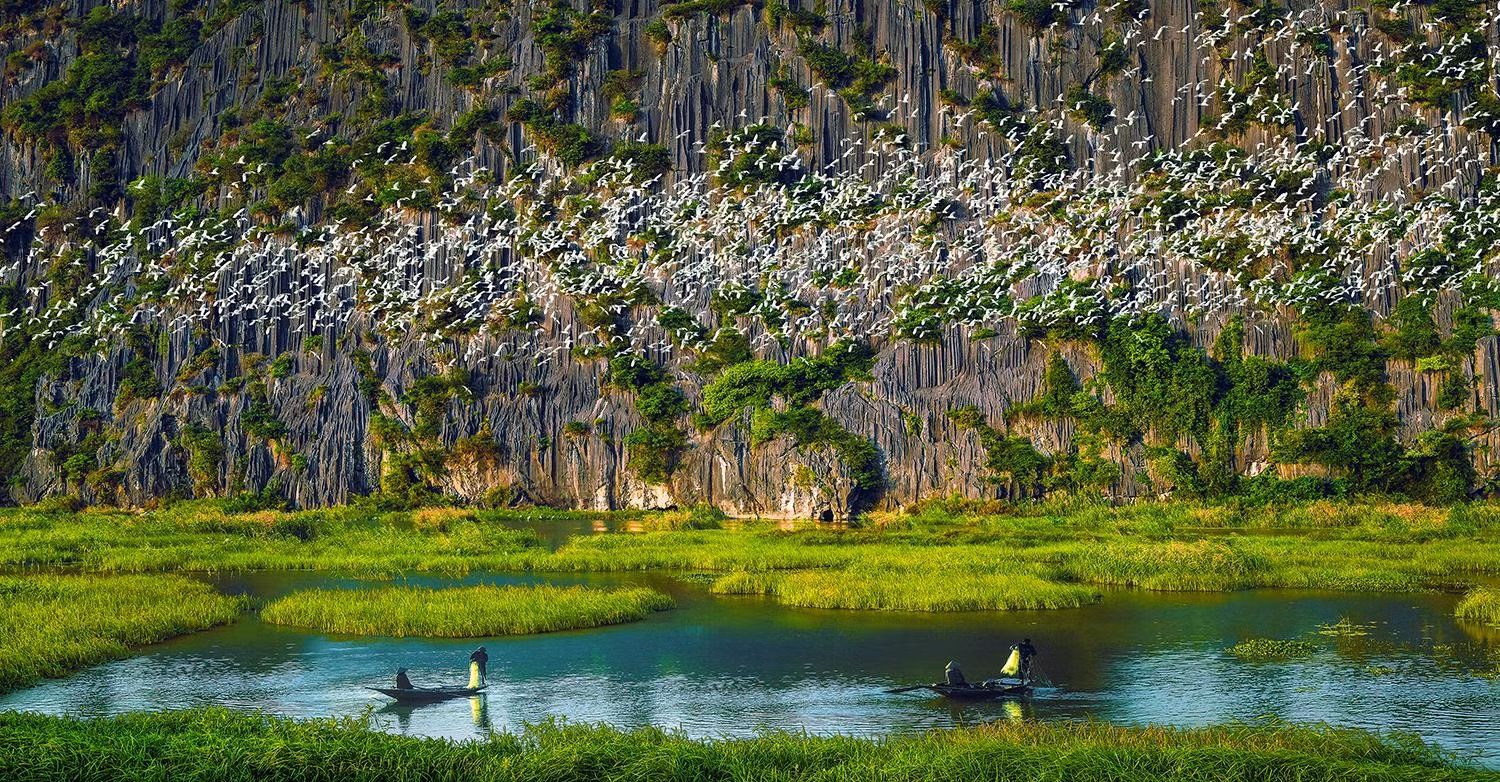 Khu du lịch sinh thái Đầm Vân Long, Ninh Bình nổi tiếng với vẻ đẹp hoang sơ, yên bình và hệ sinh thái đa dạng.