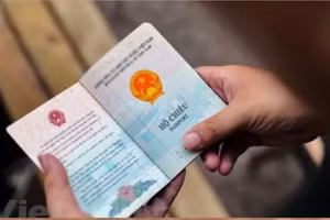Ảnh minh họa. (Nguồn: Vietnam+)