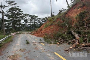 Điểm sạt lở do mưa lũ tại đèo D'Ran đã được xử lý, tới ngày 12/12 các phương tiện dưới 5 tấn đã có thể đi lại.
