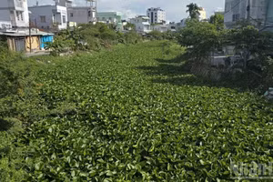 Tình trạng ô nhiễm chung của Rạch Cái Sơn, Rạch Bà Bầu, Rạch Ông Mạnh.